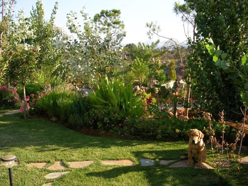 Mikros Paradisos Somatas Luaran gambar